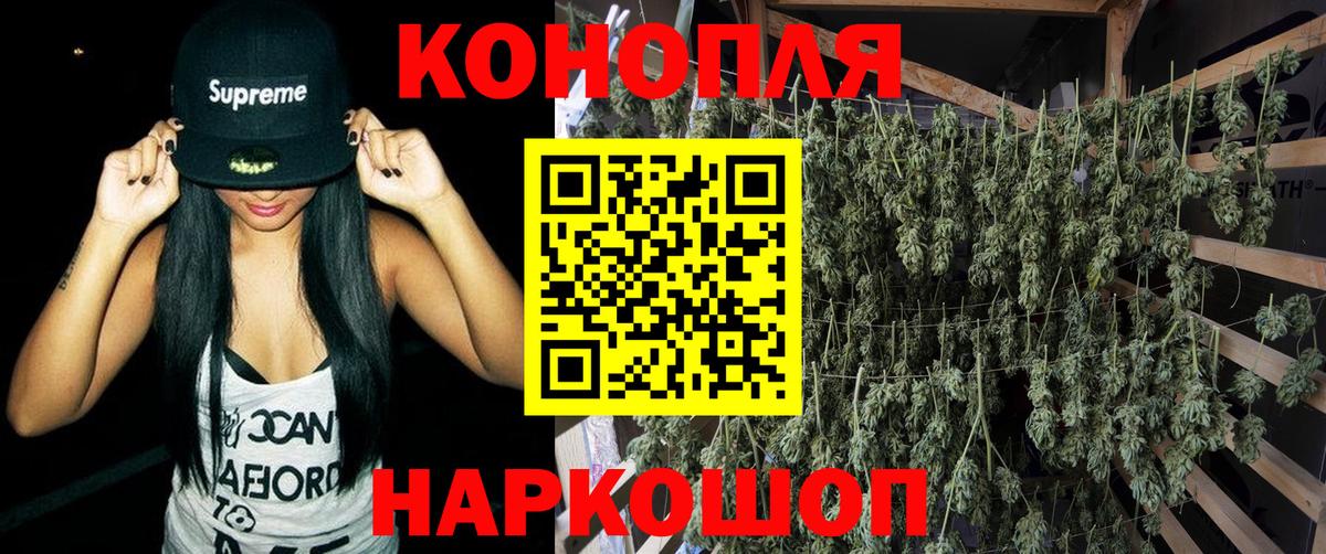 Каннабис гибрид  Каннабис Ganja  Канабис LSD WEED  Семёнов  Вход с VPN  МАРИХУАНА ГИДРОПОН 